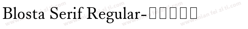 Blosta Serif Regular字体转换